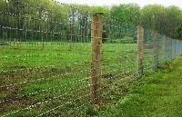 Wire Fencing