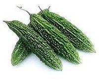 Vegetable Seeds of Bitter Gourd Green Fruits