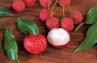 Fresh Litchi