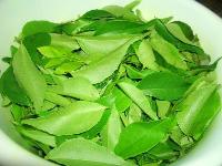 Curry Leaves