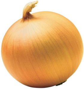 Yellow Onion