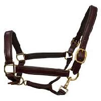 Leather Horse Halter