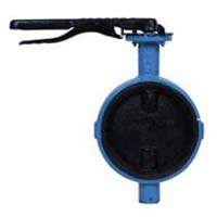 Cast Iron Butterfly Valve