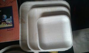 Palm Leaf Plates