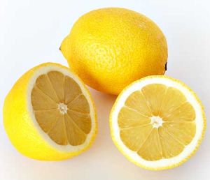 fresh Lemon