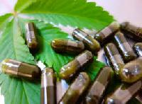 herbal extract capsules