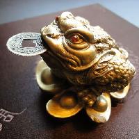 Frog With Lucky Coin