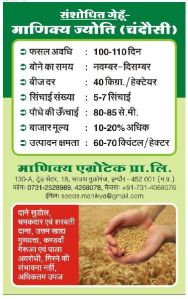 Manikya Jyoti flyer