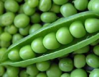 Eco Green Peas