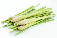 Lemon Grass