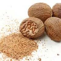 Nutmeg  Oil