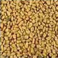 Fenugreek Extract