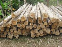 Round Teak Wood Logs
