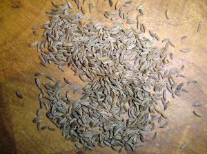 Caraway Oil