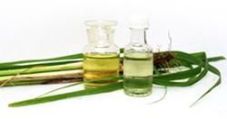 Citronella Oil