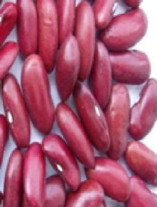 Dark Red Kidney Bean