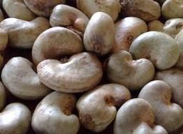 Raw Cashew Nut