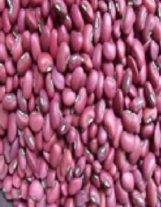 Red Cowpea