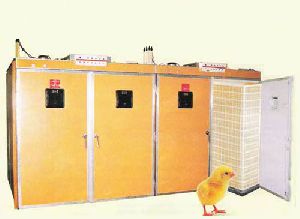 chick hatchery