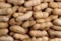 Peanuts, Wheat