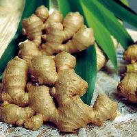 Fresh Ginger