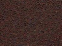 Mustard Seeds Black