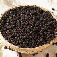 Black Pepper Seeds