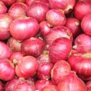 Fresh Onion