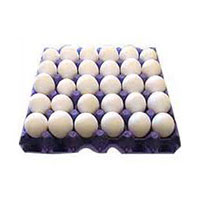 Poultry Eggs