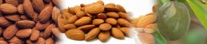 Almond