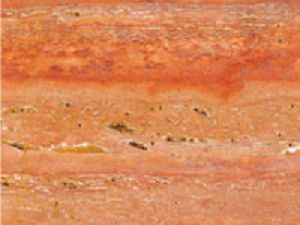 red travertine marble