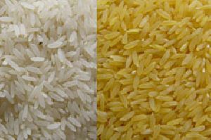 1121 white sella Rice