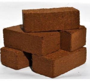 Coco peat bricks