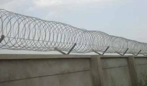 Concertina Wire