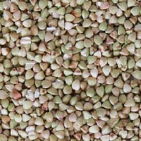 Buckwheat (Kuttu & Ragi)