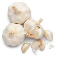 Garlic - 01