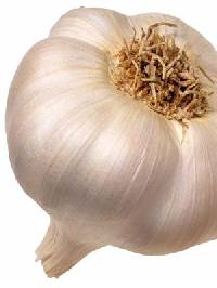 Garlic - 02