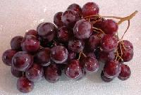 Grapes -02
