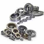 Shuster Bearings