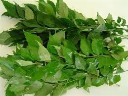 Fenugreek