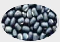 Black Lentils