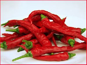 Red Chilies