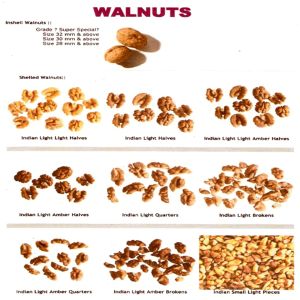 Walnut
