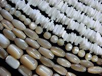 Shell Beads