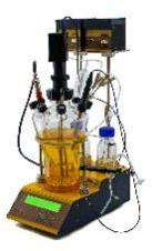 bioreactors