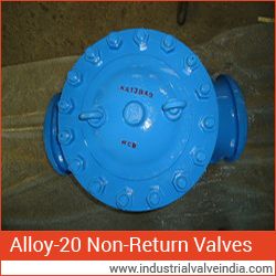 ALLOY-20 NON-RETURN VALVES