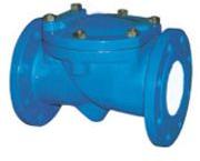 Swing Check Valves