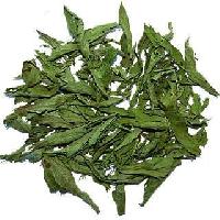 Stevia Dried Leaves