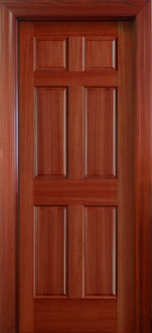 Panel Door