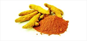 Curcumin Extract